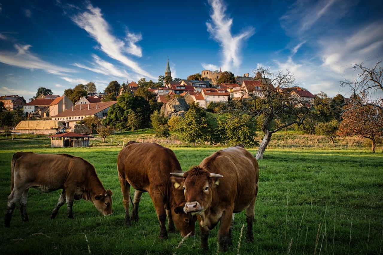 Ferienwohnung Altenstein Maroldsweisach Экстерьер фото